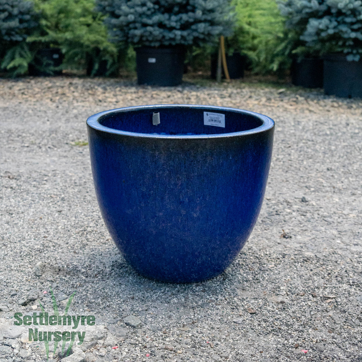 Egg Planter MD 15 Blue