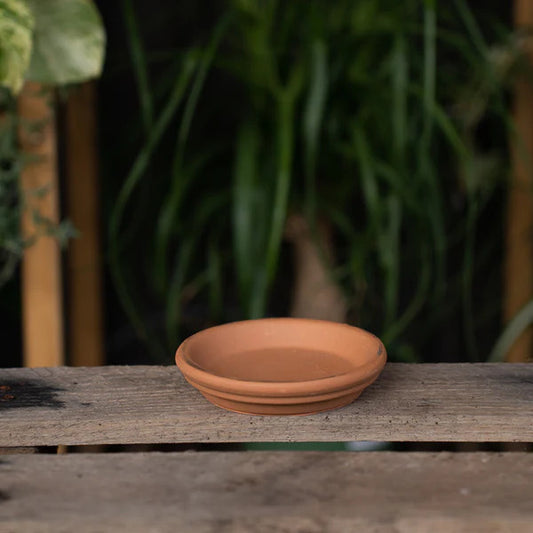 Terra Cotta Saucer 4