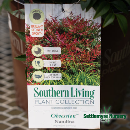 Nandina Obsession