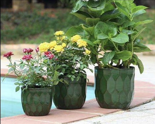 Pottery Sadie SM Green