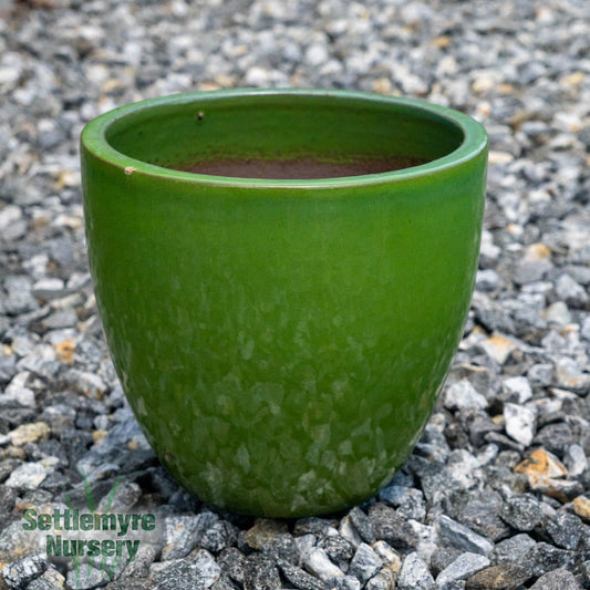 Egg Planter SM 12 Wasabi