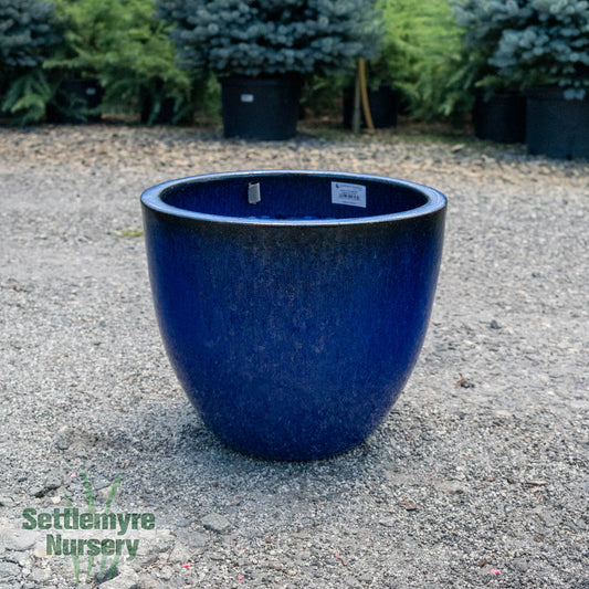 Egg Planter MD 15 Blue