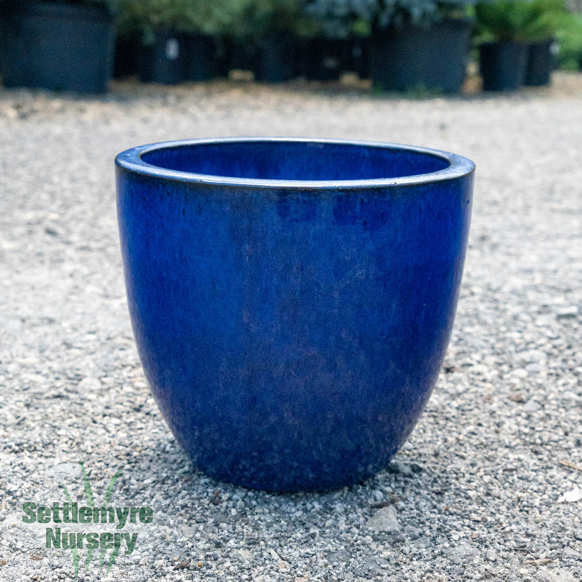 Egg Planter SM 12 Blue