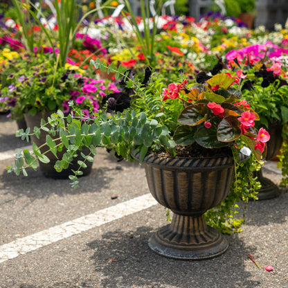 Annual Decorative Pots