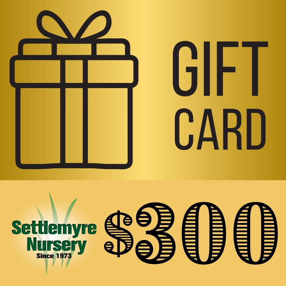 Gift Card $300