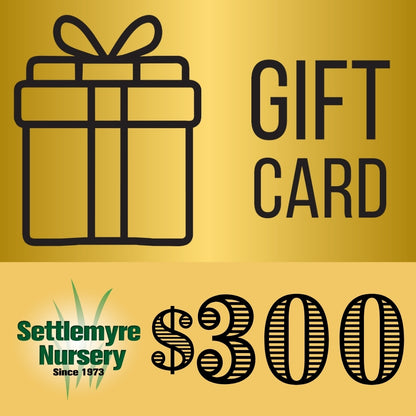Gift Card $300