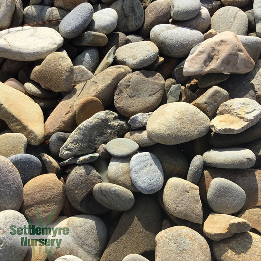 Squirrel Creek River Rock 2-5 inch